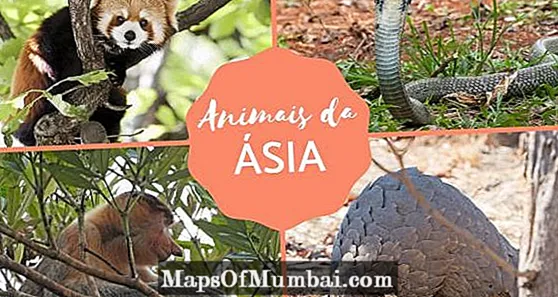 Aasiast pärit loomad