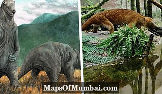 Prazgodovinske živali: značilnosti in zanimivosti