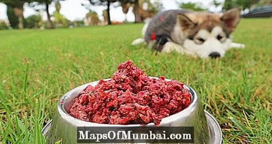 อาหารสุนัขจากธรรมชาติ - ปริมาณ สูตร และเคล็ดลับ