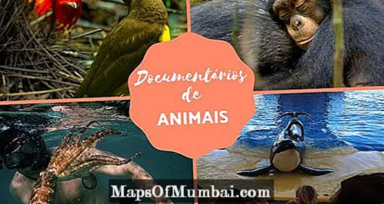 dokumentarci o živalih