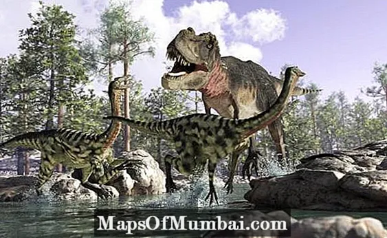 Mga uri ng mga carnivorous dinosaur