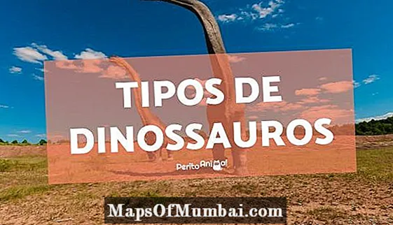 Tipes dinosourusse wat bestaan ​​het - kenmerke, name en foto's